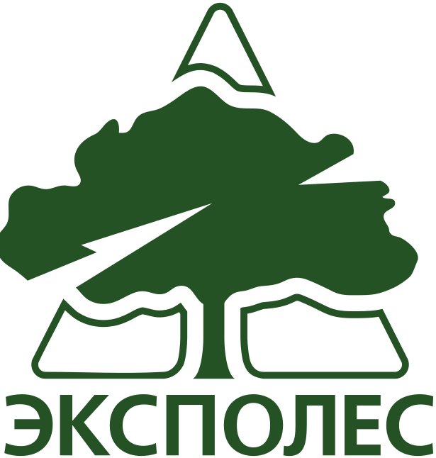 logo.png